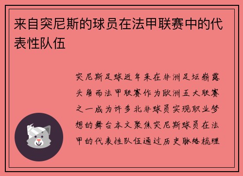 来自突尼斯的球员在法甲联赛中的代表性队伍