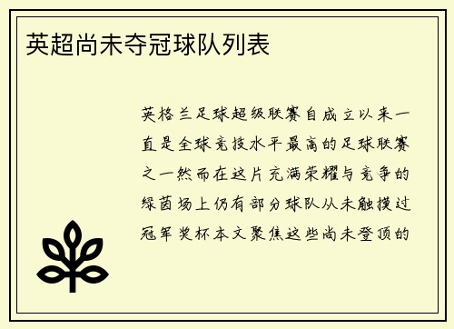 英超尚未夺冠球队列表
